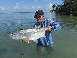 Mar 15, 2021 · what is the largest tarpon ever caught? Fish Facts Everything You Need To Know About Tarpon Orvis News