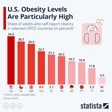Image result for Obesity
