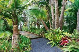 Image Result For Tropical Garden Auckland Plants Tropical Garden Tropical Landscaping