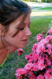 Jerry MacGregor Obituary