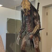 Image result for Tridactyle virginea