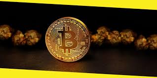 Leading up to its listing on coinbase, the value of internet computer token skyrocketed from around $193 to over $750 in a matter of hours. 7 Reasons Why It Is The Right Time To Invest In Cryptocurrency