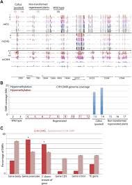 Plant cell culture is a unique process in biotechnology, which has interested many researchers because it can produce products that bacteria or animal cells cannot produce. Plants Regenerated From Tissue Culture Contain Stable Epigenome Changes In Rice Elife