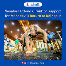 The Hans India (@TheHansIndiaWeb)  X