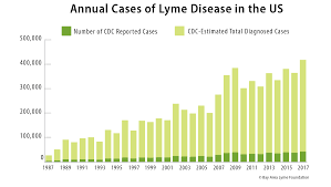 Lyme And Co Infections Tree Of Light Health