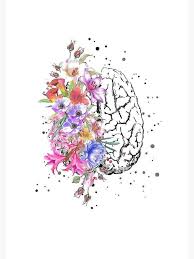 Half Brain Half Flowers Colored Drawing How To Draw A Rose Easy White Background Cute Flower Drawing Flower Drawing Brain Drawing