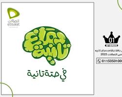 صورة باقة دماغ تانية من اتصالات مصر