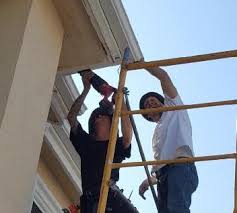 Get quotes and book instantly. The No Nonsense Termite Companythe No Nonsense Termite Company And Lenny S Pest Control