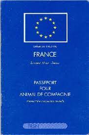 La vaccination vous permet d'éviter certaines maladies graves qui sévissent à l'étranger. Anivetvoyage Passeport Europeen