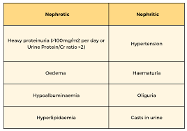 Image result for Isolated Proteinuria
