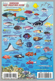 Hawaiian Mini Fish Card Frankos Fabulous Maps Of Favorite