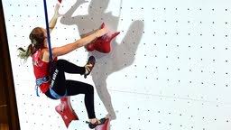 Startseite › klettern bei olympia. So Funktioniert Sportklettern Bei Olympia Die Regeln Sportschau Sportschau De Olympia Sportarten