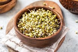 Health Benefits of Bean Sprouts: Nutritional Facts and Uses