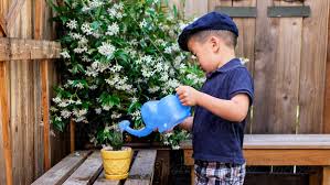 Contoh kalimat tanya yang berhubungan dengan merawat tanaman buah. Merawat Tanaman Buah Dalam Pot Tanpa Repot Rumah Com