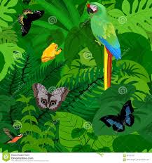 We did not find results for: 30 Dschungelhintergrund Regenwald Des Nahtlosen Vektors Tropischer