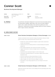 Business Development Manager Resume Guide 12 Templates Pdf