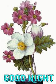 The best gifs of flowers on the gifer website. Goodnight Images With Flowers Posted By Zoey Simpson