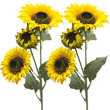 Long stemmed tropicals and greens. Aisamco 3 Pack Artificial Sunflower Flocking Govine Artificial Flowers Fake Flowers 3 Stems In 30 Tall Floral Arrangement Tall Plant Stem Greenery Favor For Home Wedding Decoration Silk Flower Arrangements