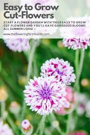 This article cannot give the answers but can help you find them. Easy To Grow Cut Flowers The Flowering Farmhouse