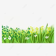 Daun monstera pabrik gambar png. Gambar Rumput Kartun Kumpulan Rumput Hijau Tanaman Hijau Bunga Liar Bunga Boleh Dihias Kumpulan Rumput Hijau Png Dan Psd Untuk Muat Turun Percuma Tanaman Hijau Bunga Ilustrasi