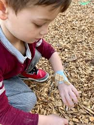 it was the perfect day for a nature walk to collect ”charms” for our Earth  friendship bracelets 🍂🌿🌼🪵☘️🌎 ms. Jillian and i both partook in the fun  as well 💚