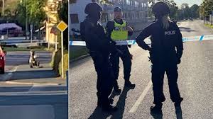 Ta del av allt som händer i malmö stad. Ohbczpxk9hetlm