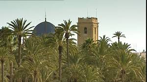 Maybe you would like to learn more about one of these? Palme Gebaude Elche Spanien Rm Video 295 715 691 In Sd Framepool Stock Footage