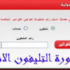 يمكن معرفة فاتورة التليفون الارضى من خلال الاسم ورقم التليفون او بالاسم فقط وممكن معرفة الفاتورة بمعرفة رقم حساب بنكى إن وجد لدى المستخدم، وسوف يظهر مباشراً استهلاك المستخدم للخاصية وذلك. 1
