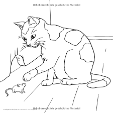Malvorlagen Fur Menschen Mit Demenz Tiere Amazon De Redaktionsteam Verlag An Der Ruhr Bucher Malvorlagen Illustration Zeichnungen