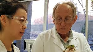 Roar සිංහල