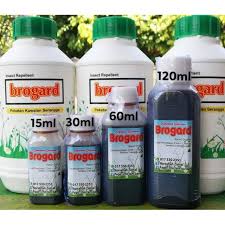 Membuat baja mycorrhizal segar dan segar organik anda adalah projek mudah. Baja Organik Brogard Rupanya Mengandungi Racun Kimia Berbahaya Ajumohit