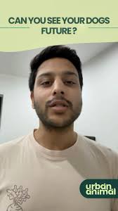 Can you really see your dog’s future? 🤔, Check the video to know more and  give your dog the healthiest, happiest life they deserve., #UrbanAnimals  #KnowYourDog, [Dog DNA test, genetic health ...