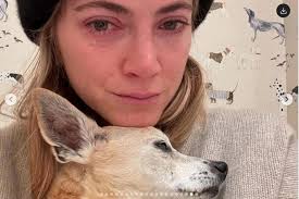 NCIS star Emily Wickersham mourns heartbreaking loss with emotional social  media post