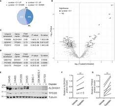 Linkedin is the world's largest business network, helping professionals like isabella chow discover inside connections to recommended job. Frontiers Identification Of Proteins Deregulated By Platinum Based Chemotherapy As Novel Biomarkers And Therapeutic Targets In Non Small Cell Lung Cancer Oncology