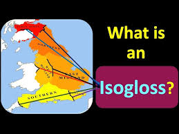 Image result for Isoglossa perdita