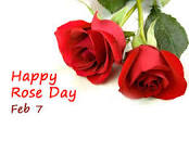 Image result for rose day 2020