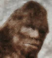 Sasquatch Enhanced Frame 352 Of Patterson Gimlin Film Footage Bigfoot Photos Sasquatch Sightings Bigfoot Art