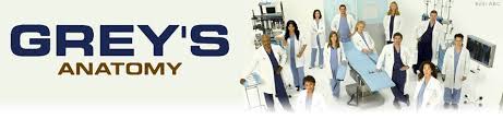 Aus dem grey sloan memorial gibt bei unserer heutigen umfrage reisen wir ein paar staffeln weiter zurück. Grey S Anatomy Staffel 13 Episodenguide Fernsehserien De