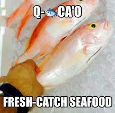 Check spelling or type a new query. The Fish Tacos Are Unbelievably Good Picture Of Que Pezcao Puerto Rico Tripadvisor