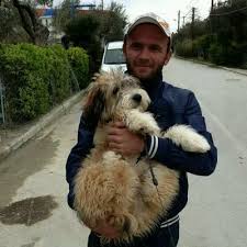 Ervin Sula (@88Sula)