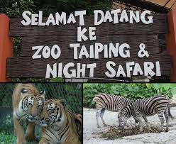 Zoo taiping) is a zoological park located at bukit larut, taiping, perak, malaysia. Top 4 Absolute Must See Attractions When You Re Visiting Taiping Perak