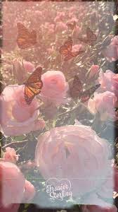 wallpapers aesthetic iphone wallpaper butterfly wallpaper iphone pretty wallpaper iphone