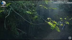 When the designated heir cosimo discovers that his father was poisoned while the medici are in exile in venice, the situation deteriorates day by day in florence, with albizzi imposing his rule over a city gravely depleted by the. Familia Medici Conducatorii Florentei Episodul 9 Online