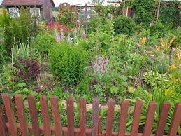 Schauen sie hier nach freien gärten oder kontaktieren sie unseren vorstand. Checkliste Fur Deinen Ersten Eigenen Pacht Schrebergarten Parzelle94 De