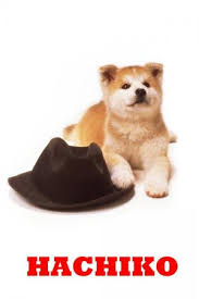 Gute filme, die auf wahren begebenheiten basieren, gibt's wie sand am meer. Ahnliche Filme Wie Hachiko Eine Wunderbare Freundschaft Suchefilme