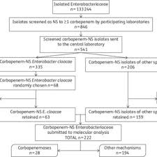Flow Chart Of The Selection Process Of Isolates Submitted To