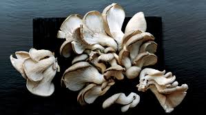 We did not find results for: Growing Mushrooms At Home Is Easier Than You D Think Epicurious