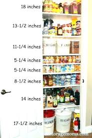 shelf life of canned food elifnakliyat info