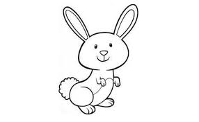 Gambar mewarnai kelinci gambar kelinci untuk mewarnai anak anak. 11 Contoh Sketsa Kelinci Yang Mudah Dan Simple Broonet