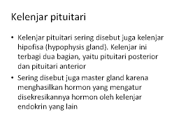 Ini menyebabkan pertumbuhan yang berlebih, terutama pada tangan dan kaki. Sistem Endokrin Hormon Sistem Endokrin Dan Eksokrin Hormon